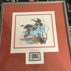 Pintail Duck Print with Duck Stamp by Don Balke
